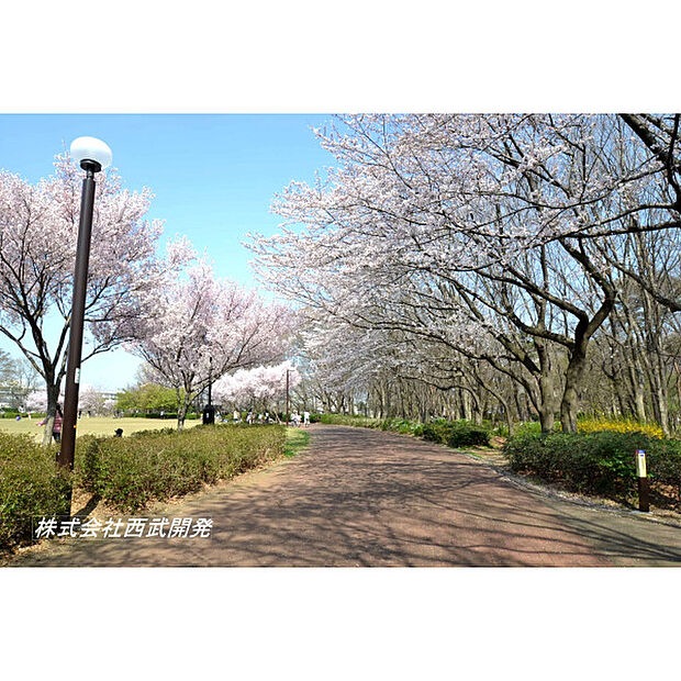 東村山中央公園