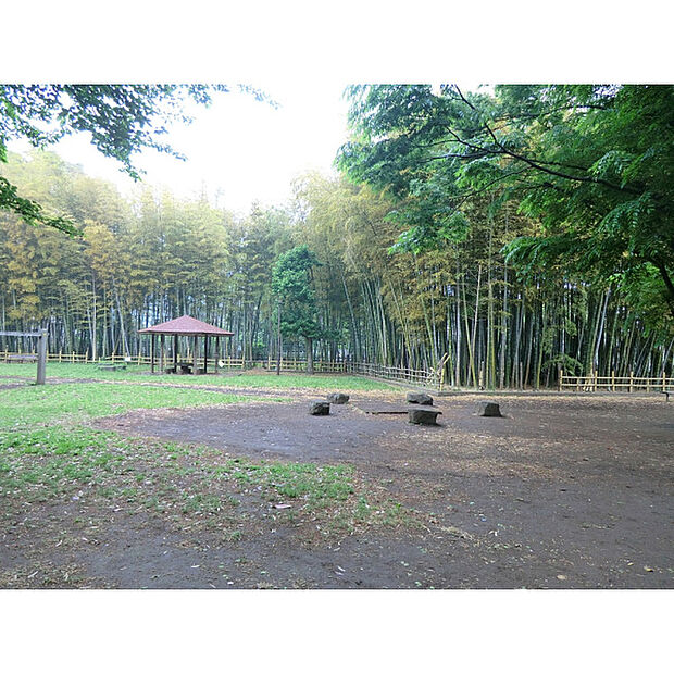 たけのこ公園