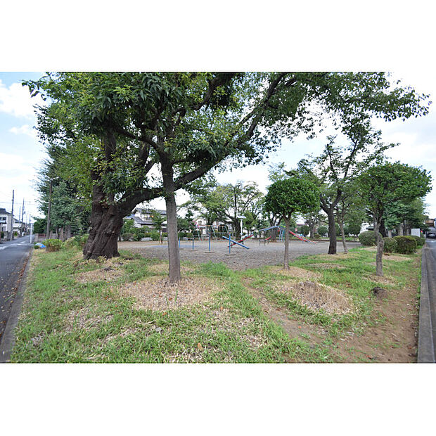 第一光が丘公園