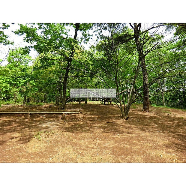 大谷公園