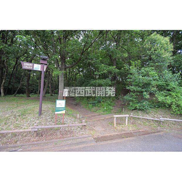 八国山緑地