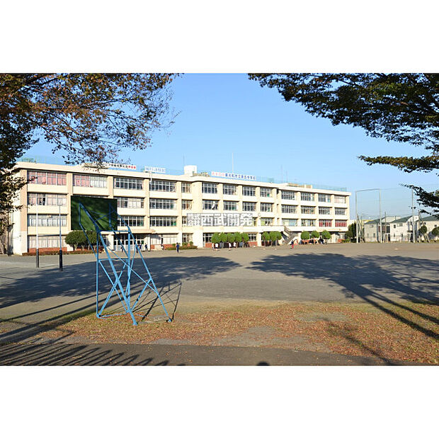 第五中学校