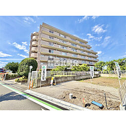 ライネスハイム久米川