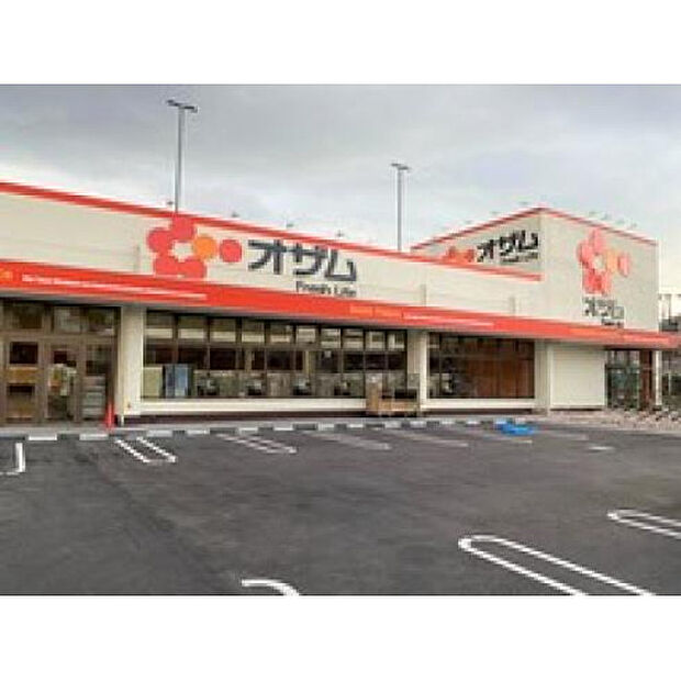 オザム