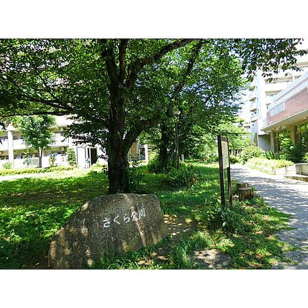 さくら公園