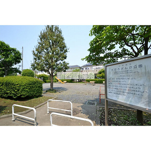 大沼さざんか公園