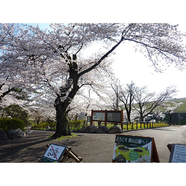 都立狭山公園