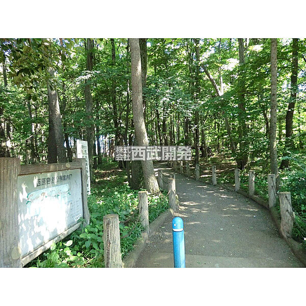 西原自然公園