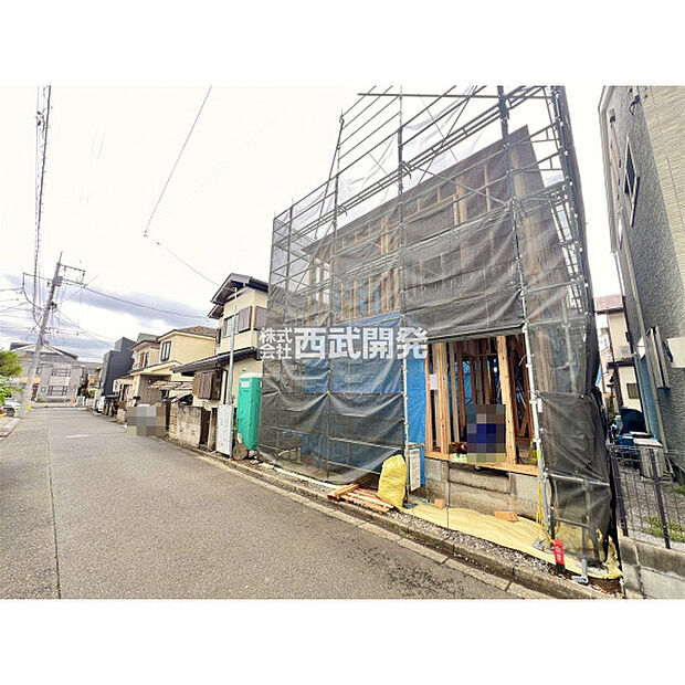 2026年6月撮影