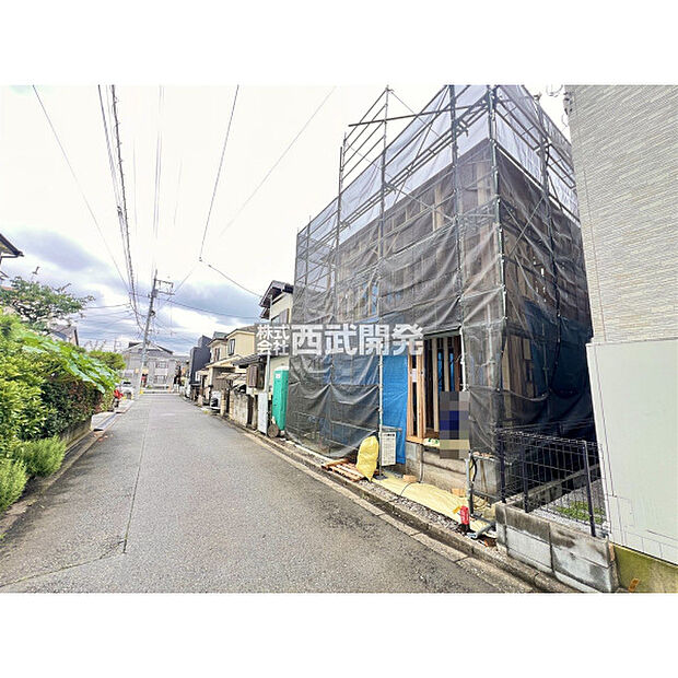 2026年6月撮影