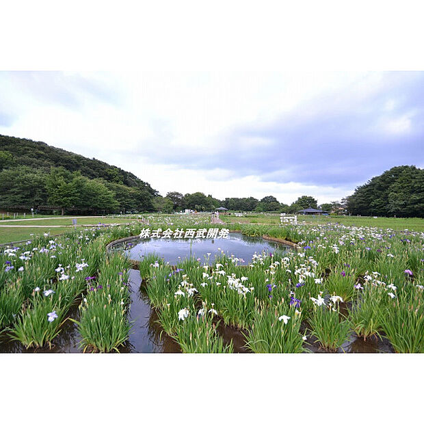 北山公園