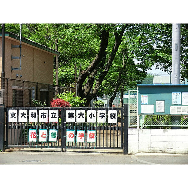 第六小学校