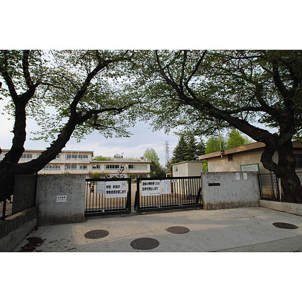第十一小学校