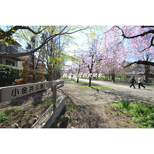 小金井公園