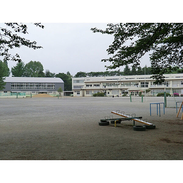 第七小学校