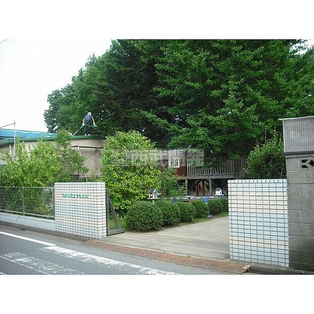 高階幼稚園