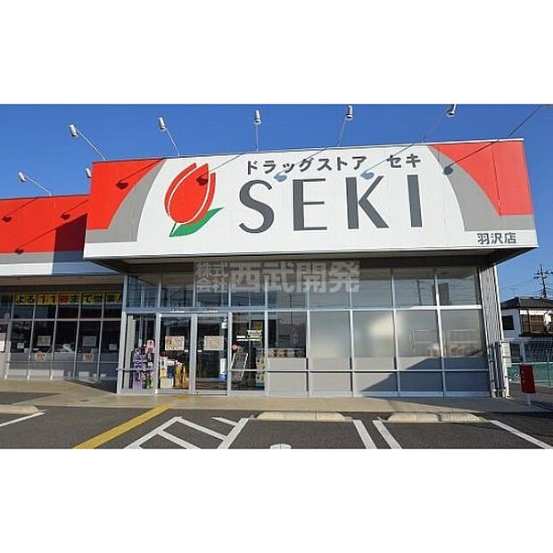 ドラックストアセキ羽沢店