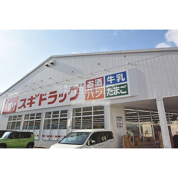 スギドラック・三芳町店