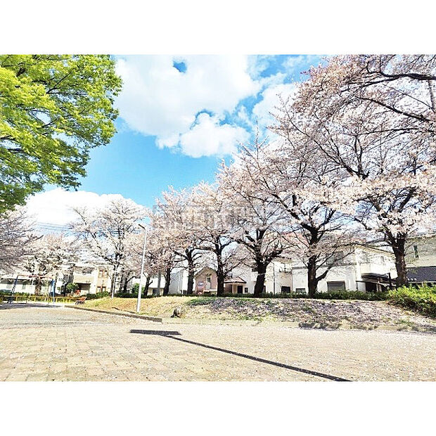 市沢公園
