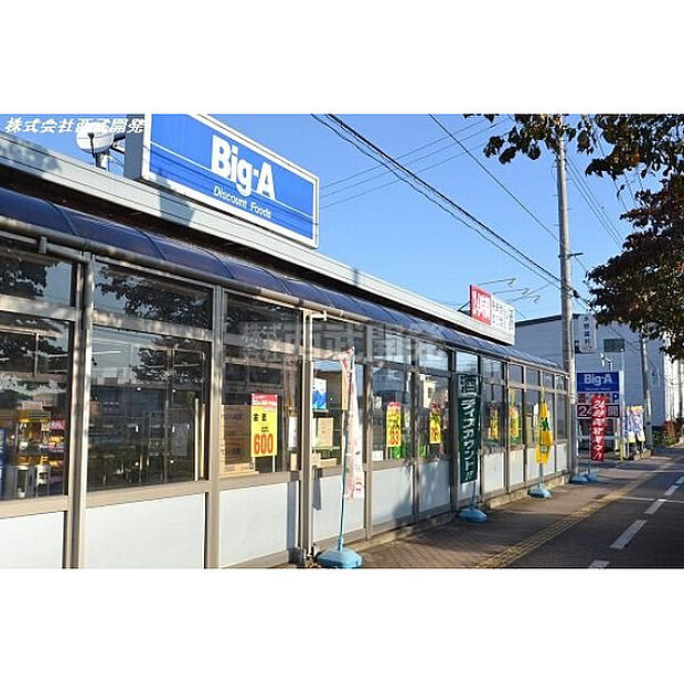 ビッグエー富士見鶴馬店