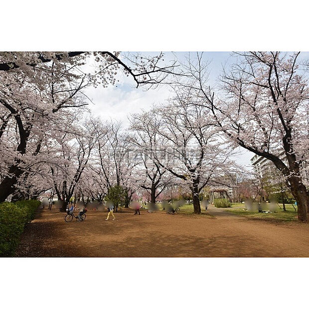 福岡中央公園