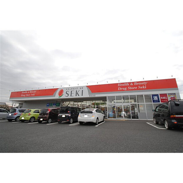 ドラックストアーセキ南古谷店