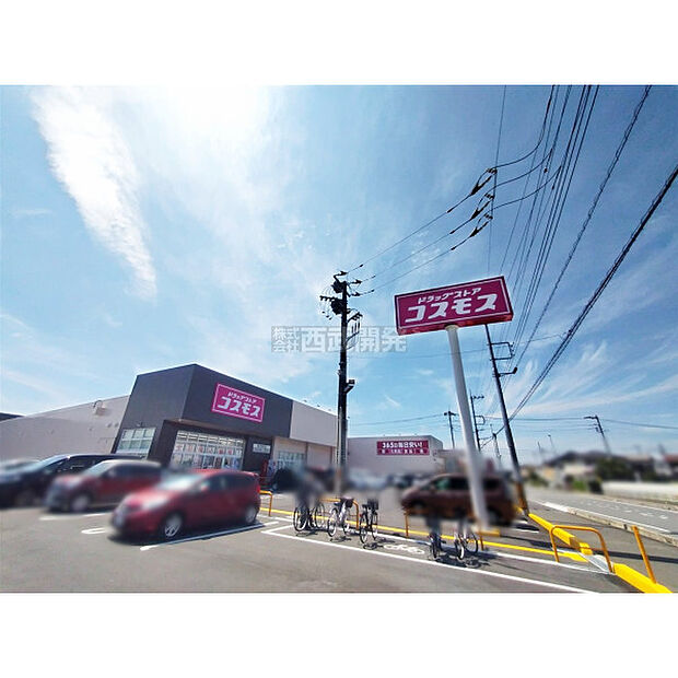 ドラッグストアコスモス 新河岸店