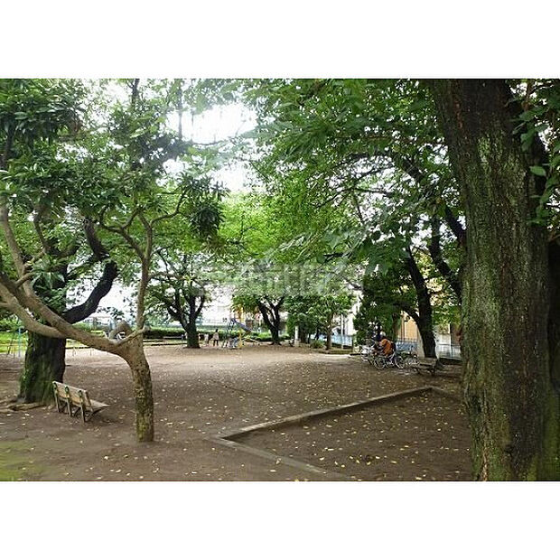 関沢公園