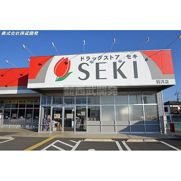 ドラックストアセキ羽沢店