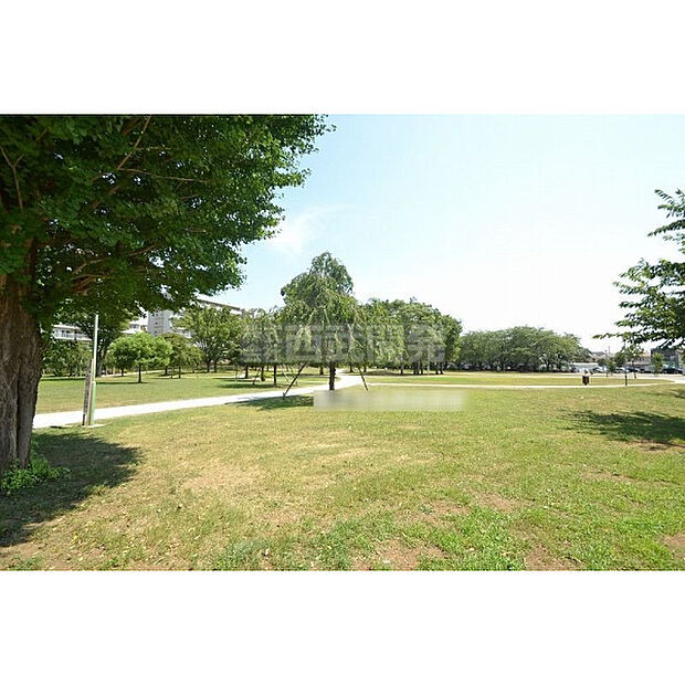福岡中央公園