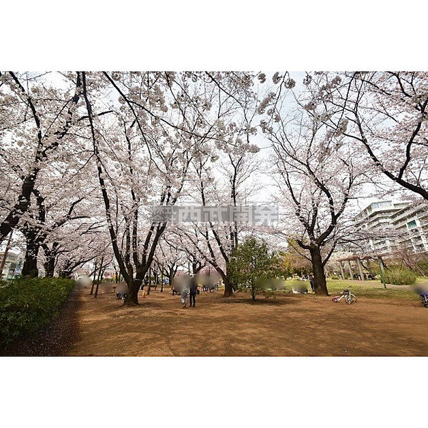 福岡中央公園