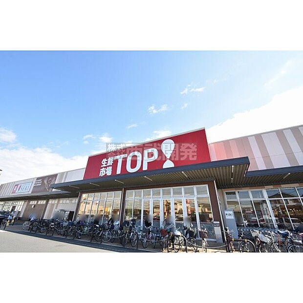 生鮮市場TOP