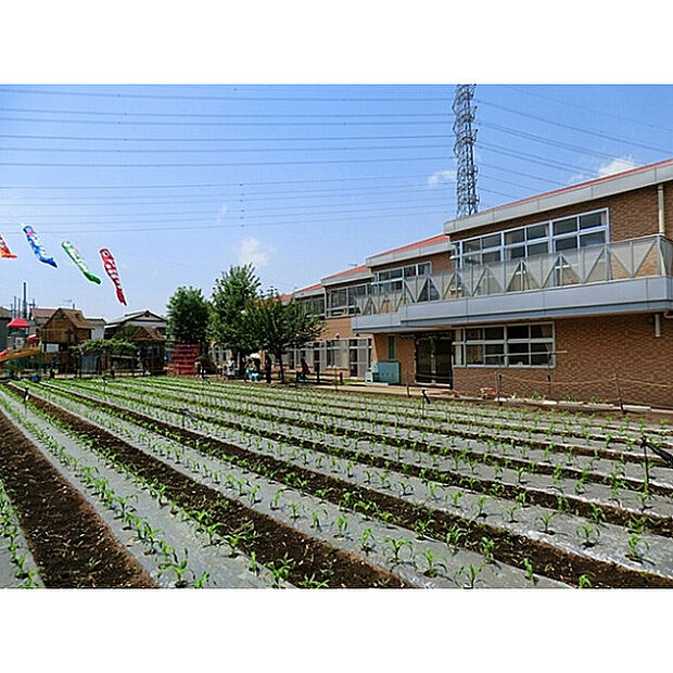 あおば幼稚園