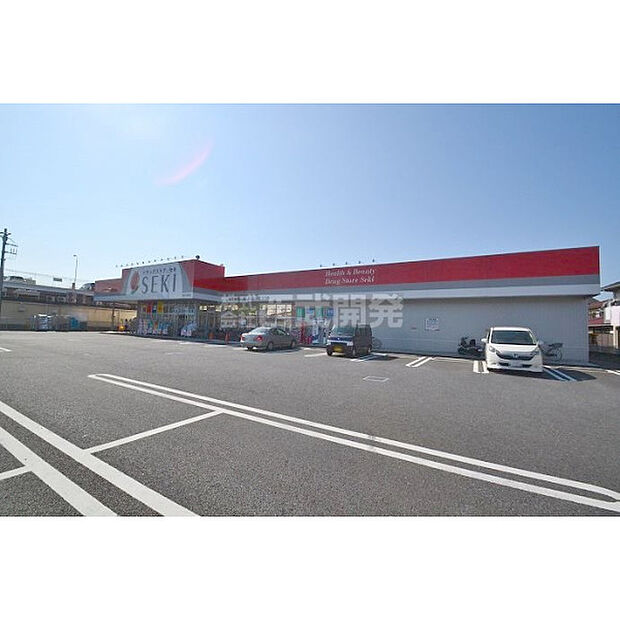 ドラックストアセキ新河岸店
