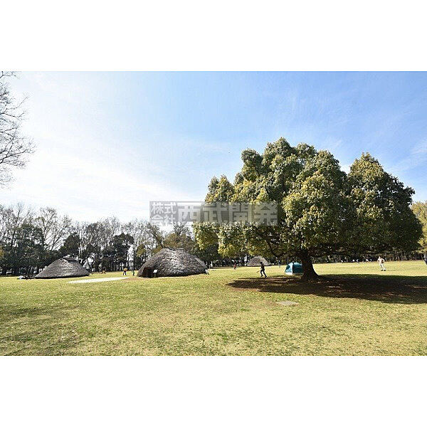 水子貝塚公園