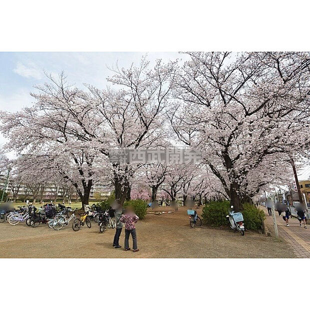 福岡中央公園
