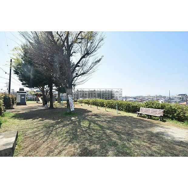 西沼公園