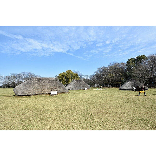 水子貝塚公園