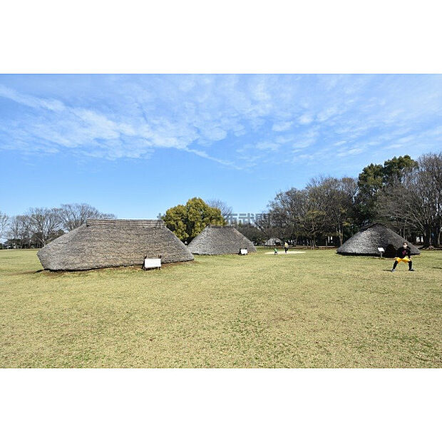 水子貝塚公園