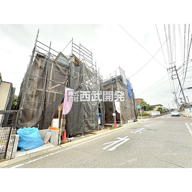 全景写真