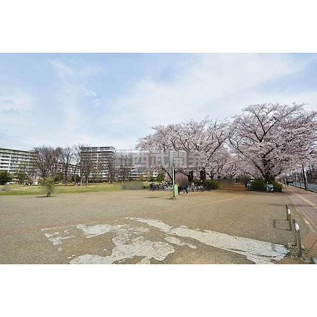 福岡中央公園