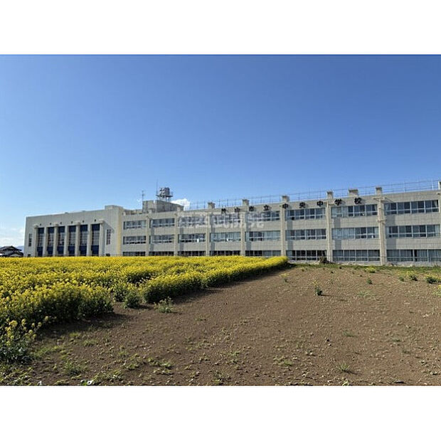 中央中学校