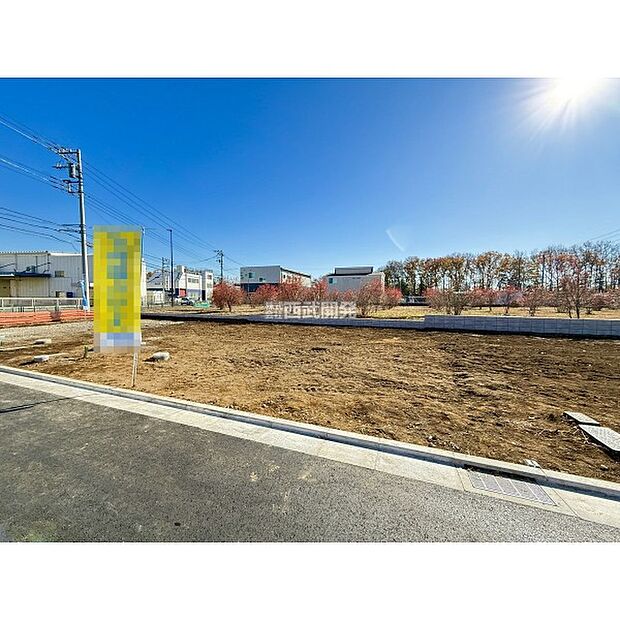 令和6年12月15日撮影