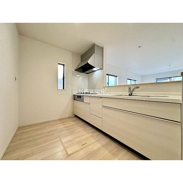 令和7年11月1日撮影