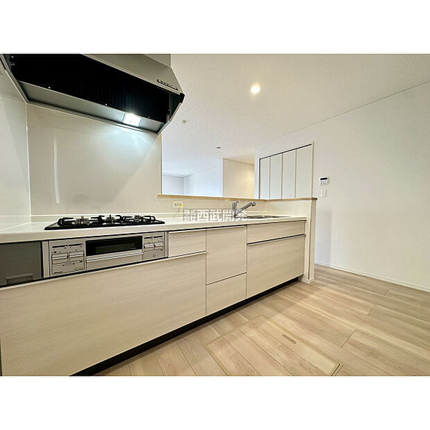 令和7年11月1日撮影