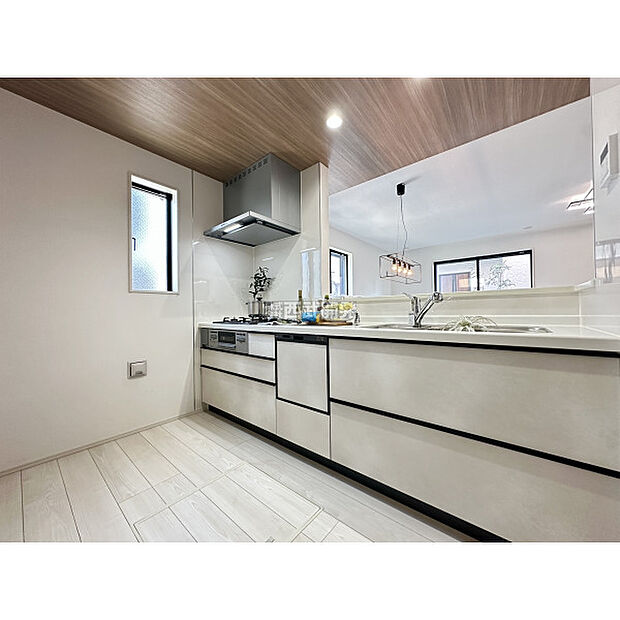 令和7年11月16日撮影