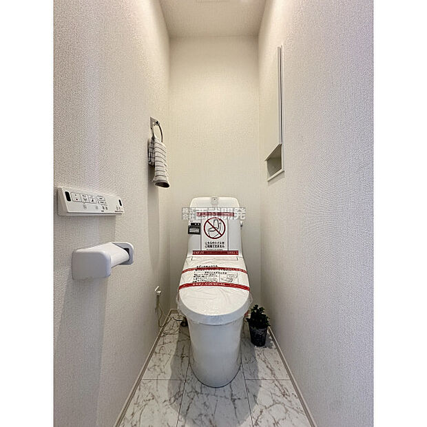 令和7年11月16日撮影