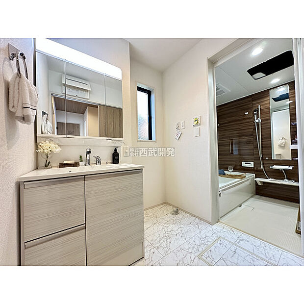 令和7年11月16日撮影