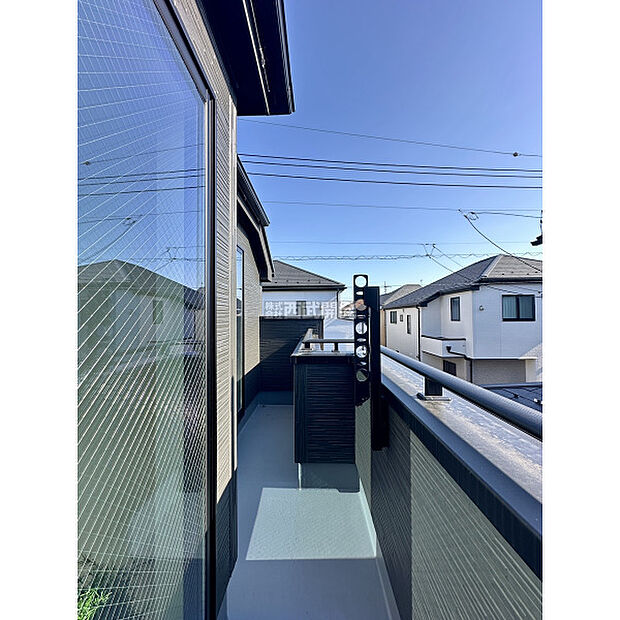 令和7年11月16日撮影