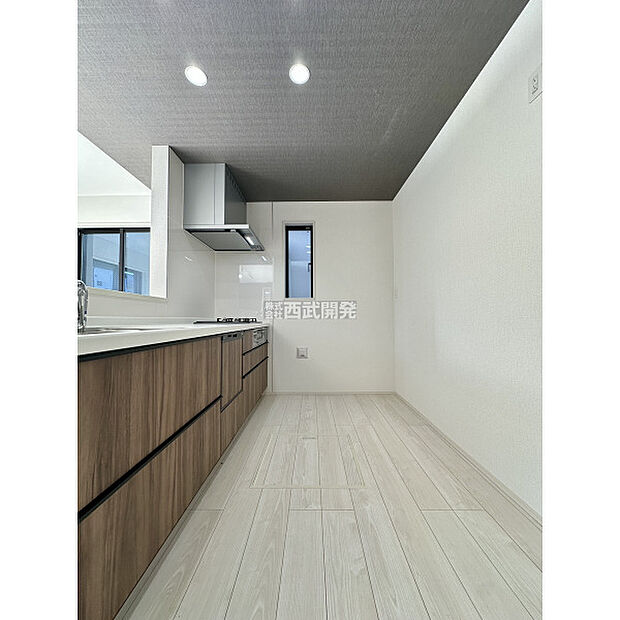 令和7年11月16日撮影